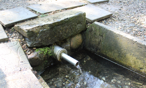 Родник Райгород