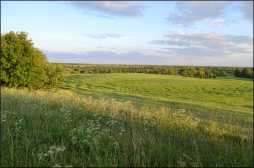 Ковалевская гора