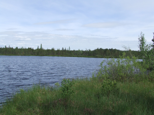 Заказник «Гурбы»