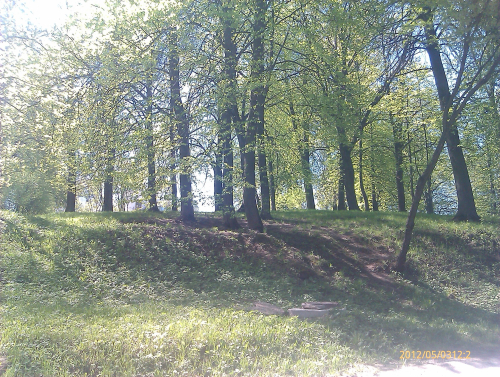 Дубово-липовый массив «Белая дача»