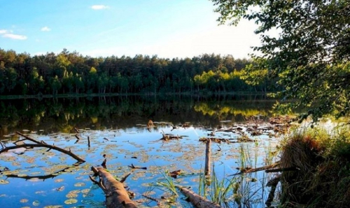 Заказник «Святое озеро»