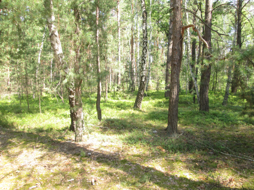 Заказник "Ореховский"