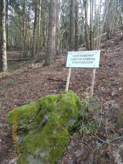 Конгломерат «Святой камень» бузуновский