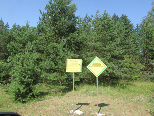 Приреченская дюна