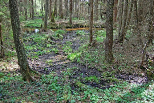 Погребищенские родники