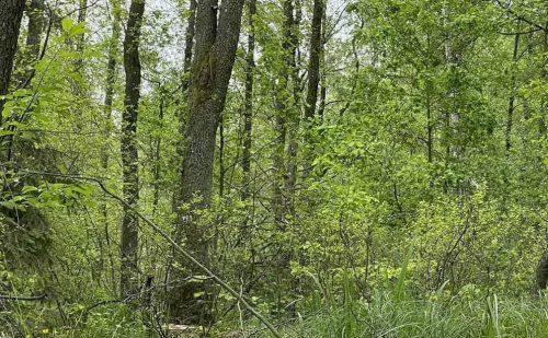 Заказник “Мошно”