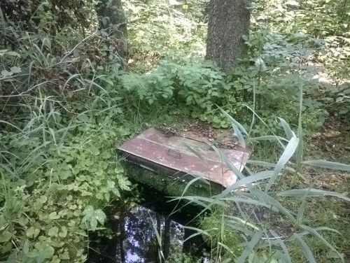 Родник в урочище «Первый Переток»