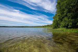 Заказник «Свитязянский»