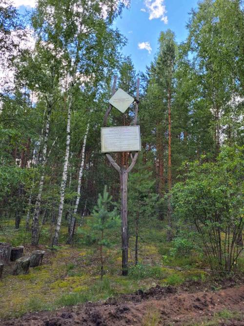 Заказник «Великий Мох»