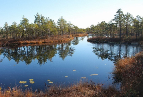 Заказник «Езерище»