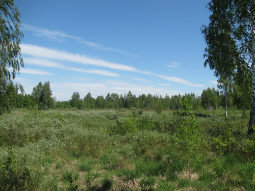 Заказник "Ермаки"