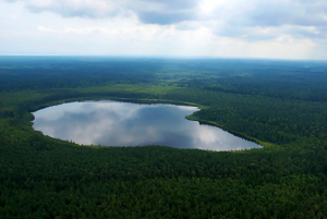 Заказник «Швакшты»
