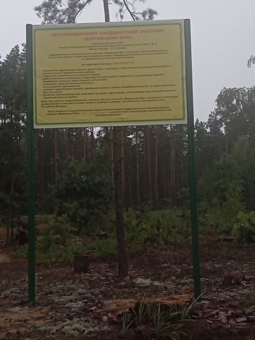 Заказник «Воронецкий Мох»
