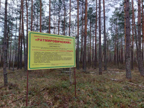 Заказник «Ратмировичский»