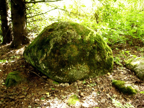 Селецкий валун