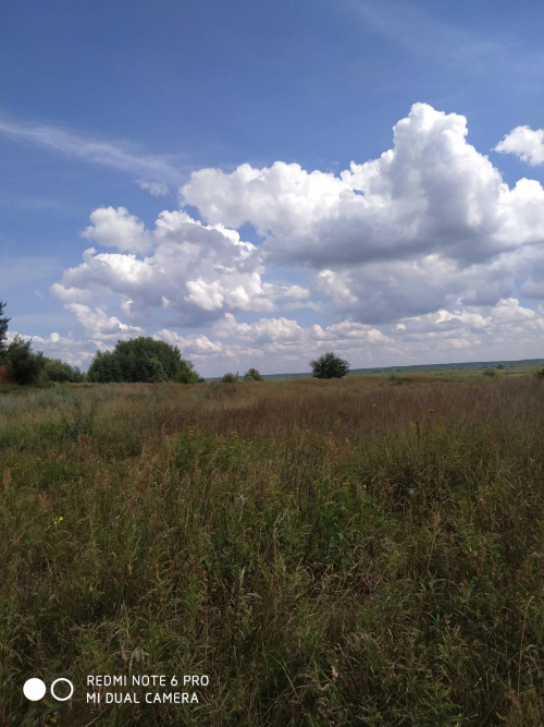 Заказник «Пойма реки Сож»