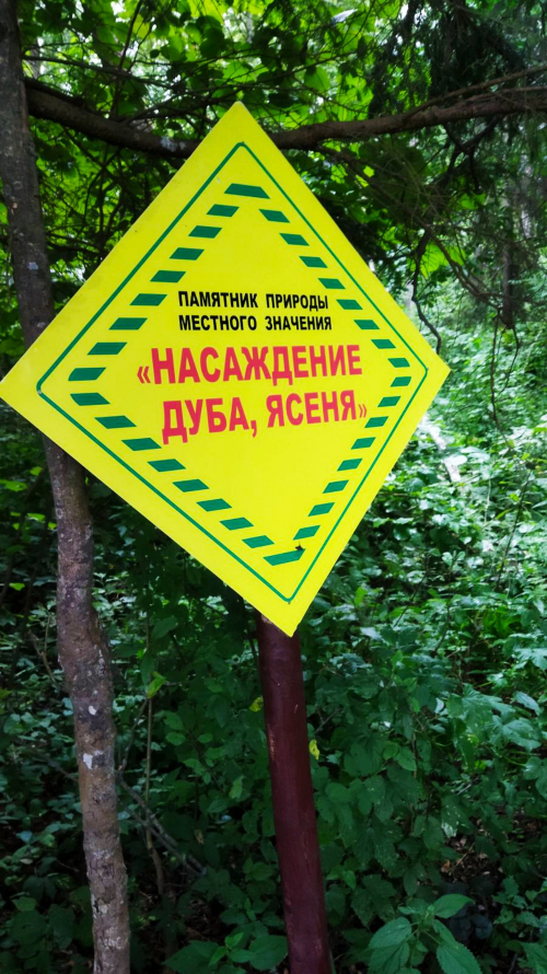 Уникальные участки леса «Насаждения дуба, ясеня»