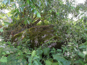 Валун “Габрусев камень”