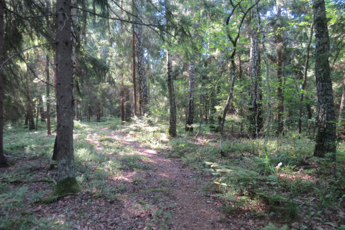 Надливская гряда