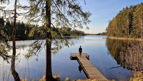 Заказник «Кораневский»