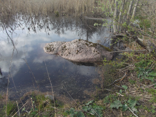 Валун «Большой камень» юшковичский