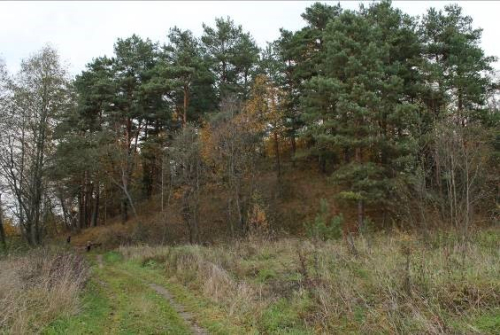 Гора городище Званская