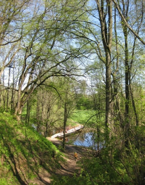 Лужеснянский дендропарк