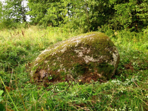 Валун «Большой камень» бояровский