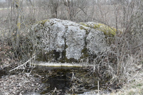 Тарелочный камень Язненский