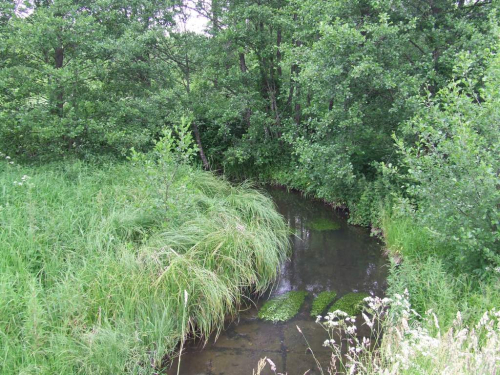 Ордашинский