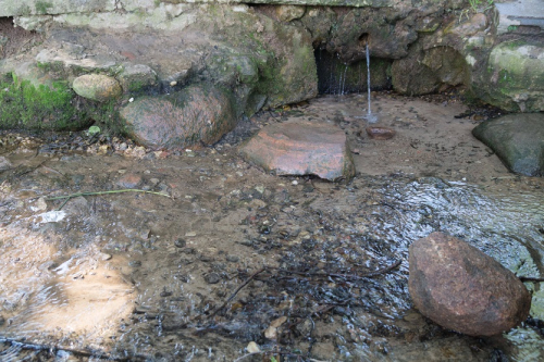 Криница «Лешно»