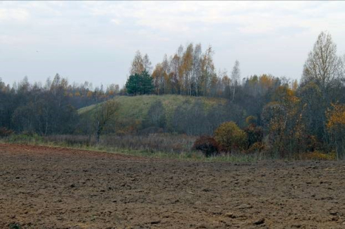 Гора Городок Замошская