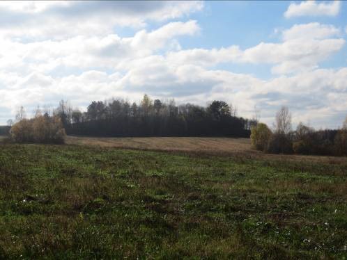 Холмы Туржецкие 