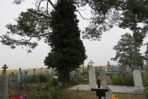 Верховичский плющевник