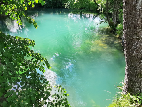 «Голубая криница»