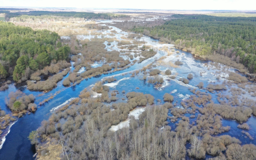 Заказник «Пойма Львы»