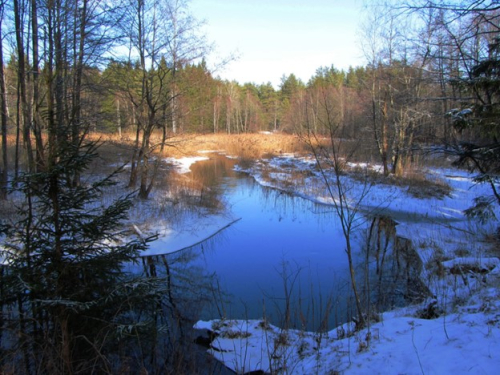 Заказник «Еленка»