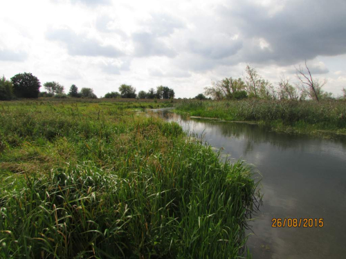 Гродненская Свислочь