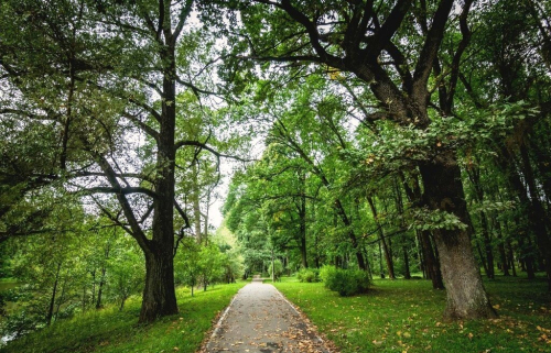Заказник «Печерский»