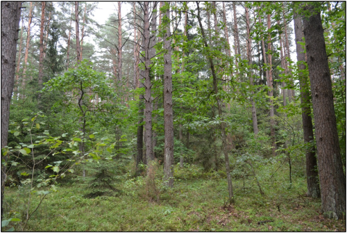 Заказник «Раздоры»