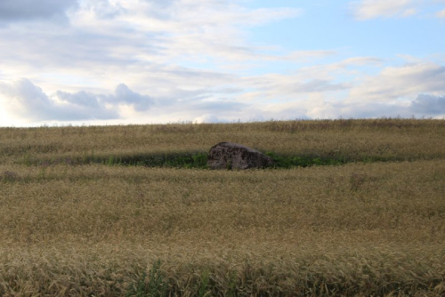 Валуны «Березовские»