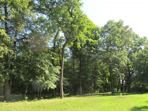 Старинный парк «Сутково»