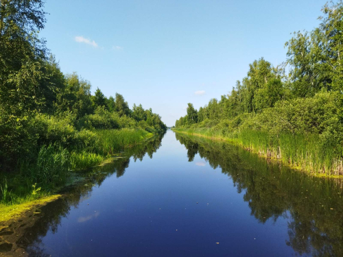 Заказник "Велута"