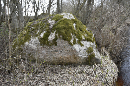 Луповщинский большой камень