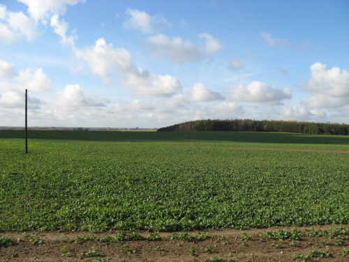 Заказник «Пелясские гряды-увалы»