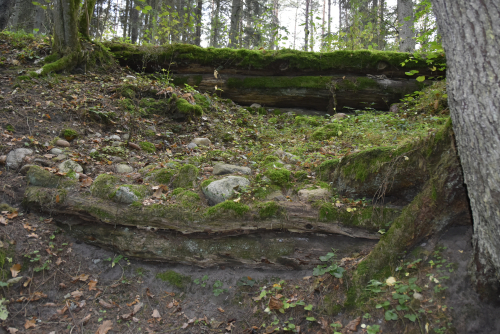 Бытенский родник