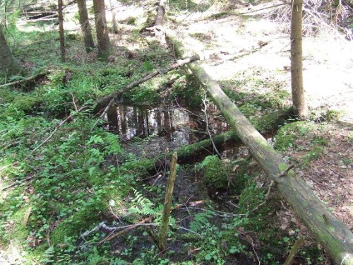 Никульский родник