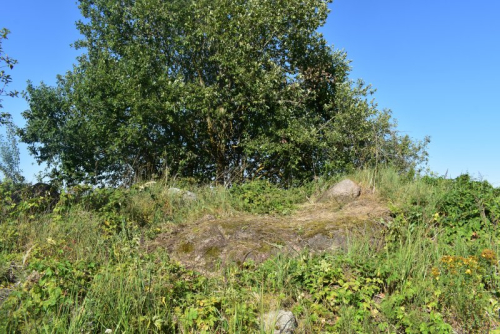 Валун «Чертов камень»