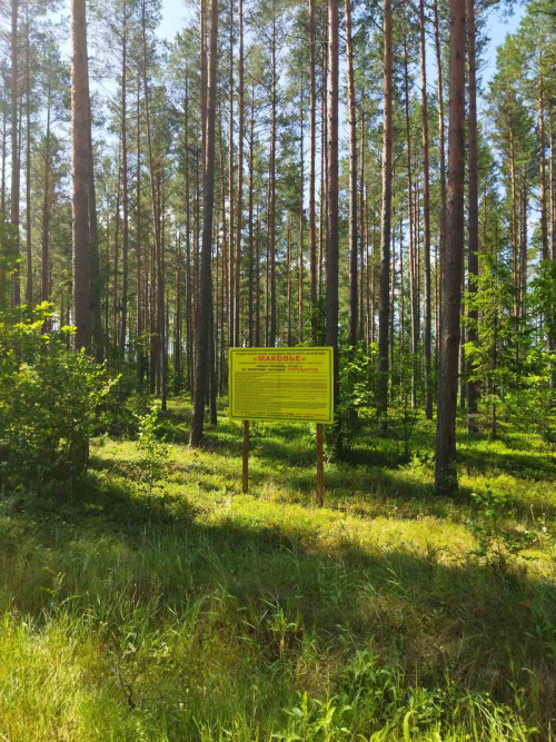 Заказник «Маковье»