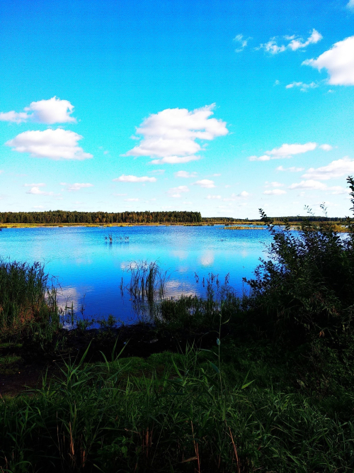 Заказник «Березина»